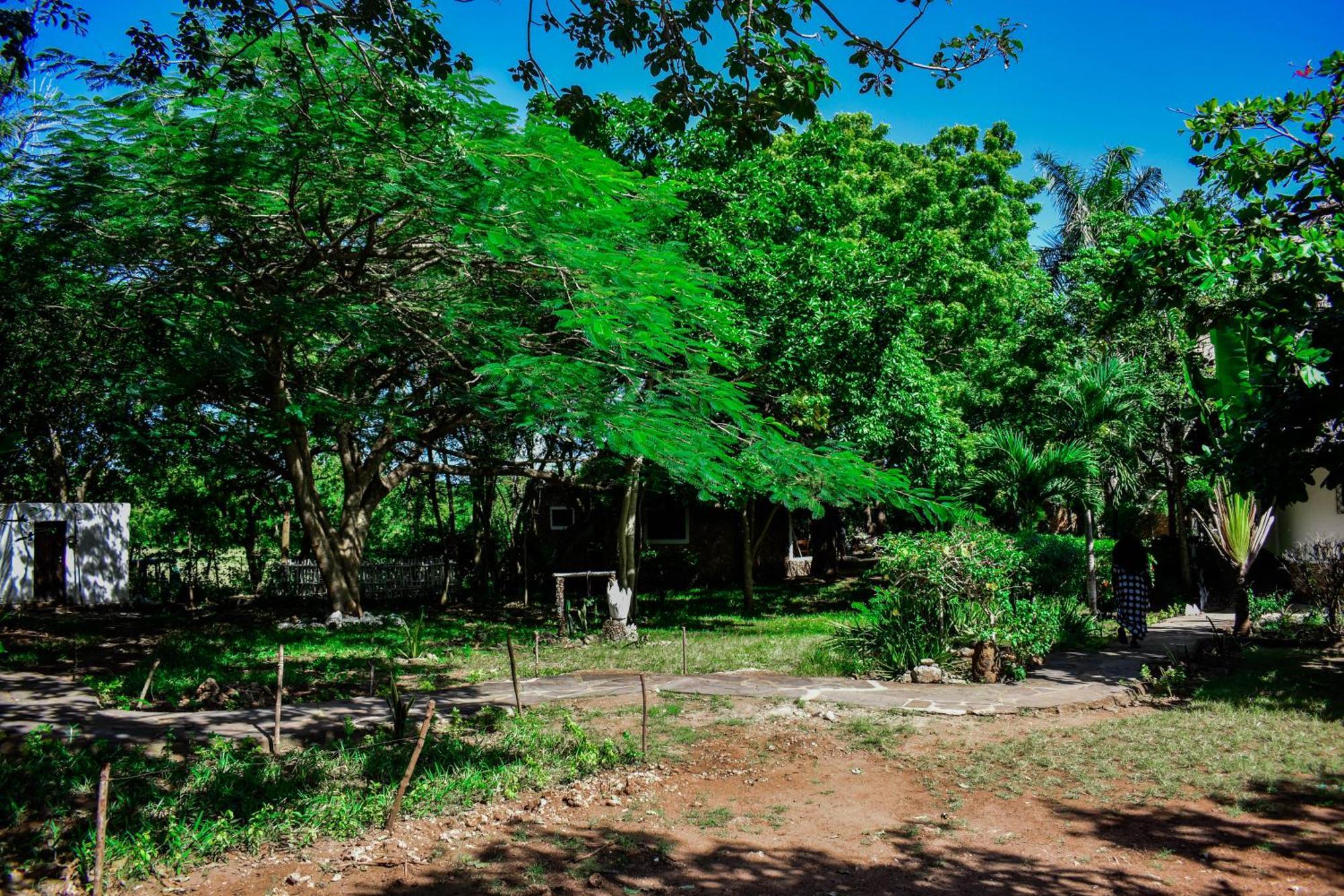 African Hut Tiny Cottage Diani Beach Exteriér fotografie