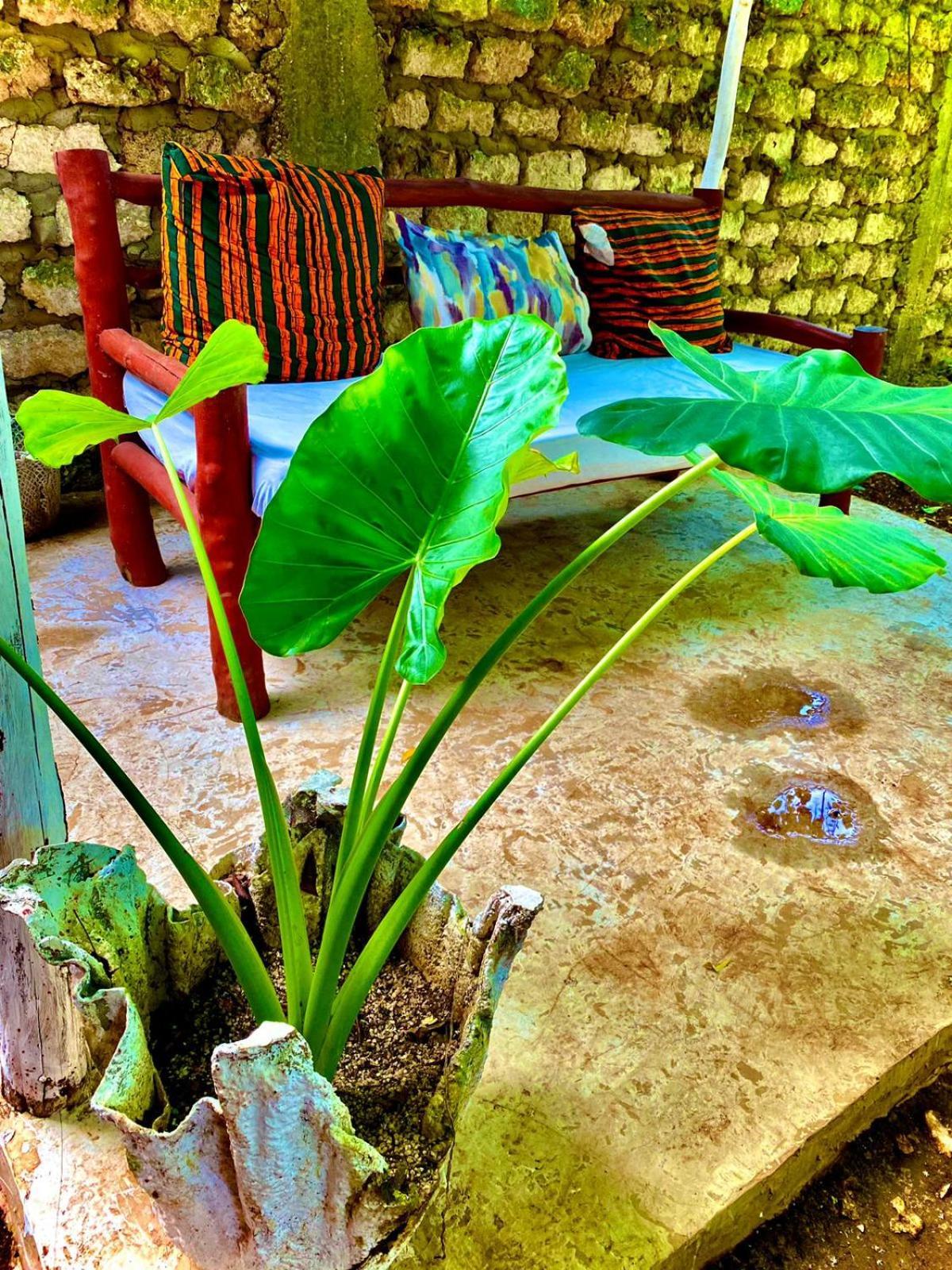 African Hut Tiny Cottage Diani Beach Exteriér fotografie